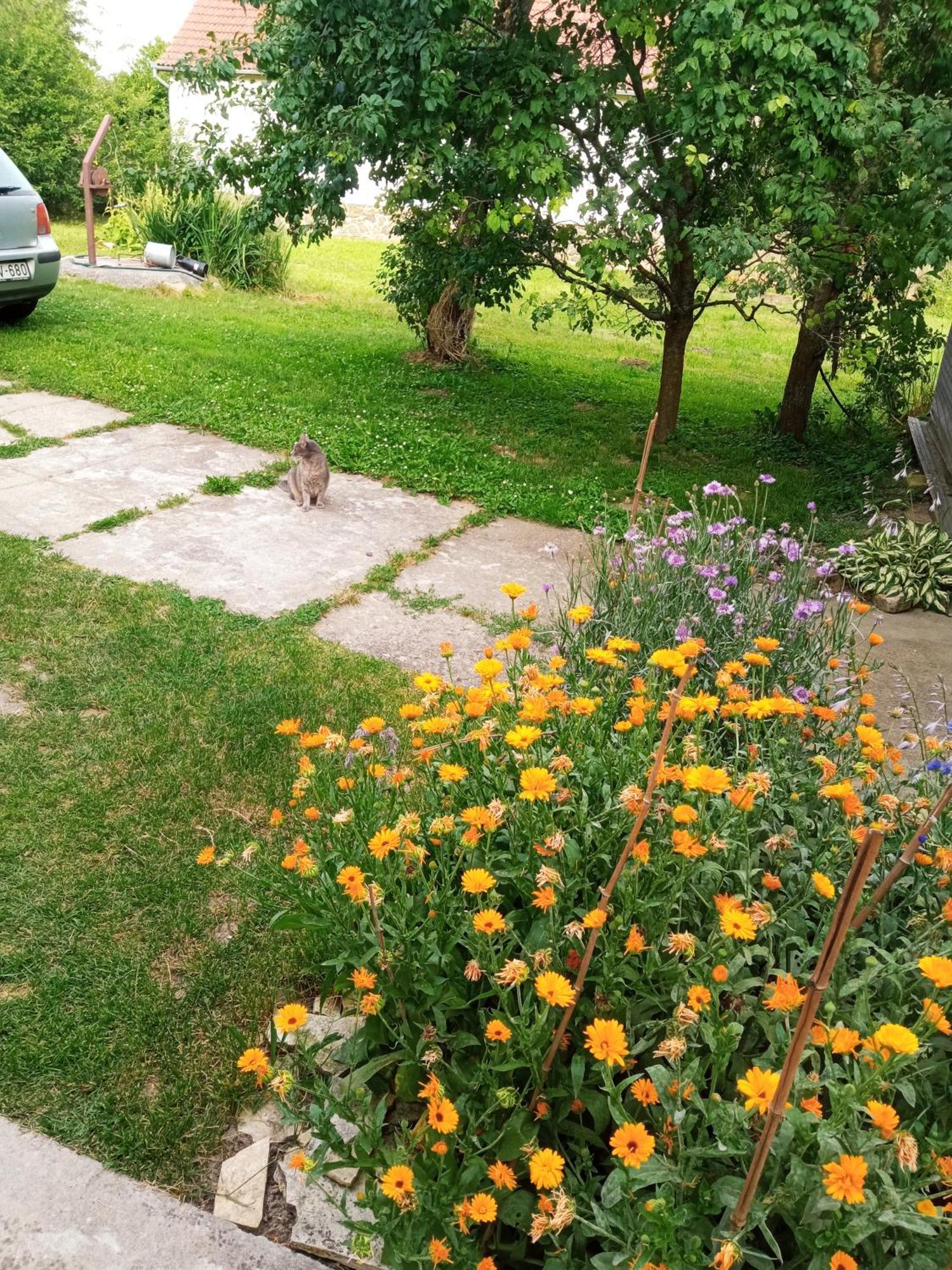 Ferienwohnung Lovas Vendeghaz Obanya Exterior foto